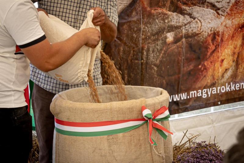 Júliusban kerül megrendezésre a Pro Agricultura Egyesület által a dél-erdélyi és Kolozs megyei búzaösszeöntő ünnepség, amely egy különleges alkalom a helyi gazdák és közösségek számára.