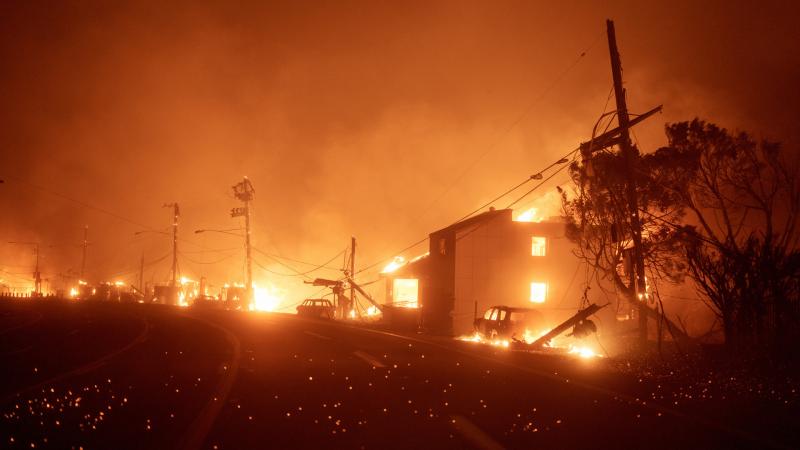 Los Angeles lángokban: közel 2000 otthon vált hamuvá a tűzvész következtében - képgaléria