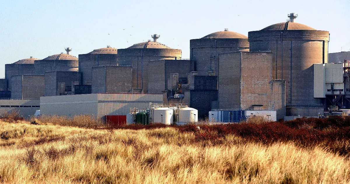 Medúzák törtek be egy francia atomerőmű hűtőrendszerébe, így különös és szokatlan látványt nyújtva a szakembereknek.